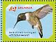 Black-chinned Hummingbird Archilochus alexandri