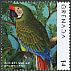 Military Macaw Ara militaris  2013 Parrots 
