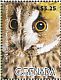 Short-eared Owl Asio flammeus  2015 Owls Sheet