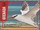 Red-billed Tropicbird Phaethon aethereus  2016 Caribbean seabirds Sheet