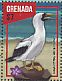 Masked Booby Sula dactylatra  2016 Caribbean seabirds Sheet