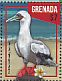Red-footed Booby Sula sula  2016 Caribbean seabirds Sheet