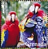 Scarlet Macaw Ara macao  2022 Scarlet Macaw Sheet