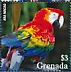 Scarlet Macaw Ara macao