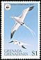 White-tailed Tropicbird Phaethon lepturus  1978 WWF 