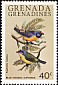 Antillean Euphonia Chlorophonia musica  1980 Wild birds 
