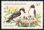 Eastern Kingbird Tyrannus tyrannus  1984 Songbirds 
