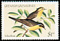 Common Yellowthroat Geothlypis trichas  1984 Songbirds 