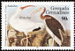 American White Ibis Eudocimus albus  1985 Audubon 