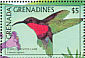 Purple-throated Carib Eulampis jugularis  1988 Birds  MS MS