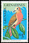 Eared Dove Zenaida auriculata  1990 Birds 