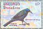Common Grackle Quiscalus quiscula  1993 Songbirds Sheet