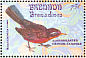 Rosy Thrush-tanager Rhodinocichla rosea  1993 Songbirds Sheet