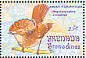 Amazonian Royal Flycatcher Onychorhynchus coronatus  1993 Songbirds Sheet