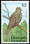 Inca Dove Columbina inca  1995 Birds 