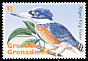 Ringed Kingfisher Megaceryle torquata  1995 Birds of the Caribbean 