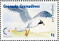 Laughing Gull Leucophaeus atricilla  1995 Birds of the Caribbean Sheet