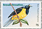 Antillean Euphonia Chlorophonia musica  1995 Birds of the Caribbean  MS