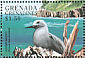 Lesser Noddy Anous tenuirostris  1998 Seabirds Sheet