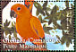 Sun Parakeet Aratinga solstitialis  2000 Parrots and Parakeets Sheet