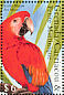 Scarlet Macaw Ara macao