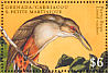 Puerto Rican Lizard Cuckoo Coccyzus vieilloti  2000 Birds of the Caribbean  MS