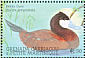Ruddy Duck Oxyura jamaicensis  2001 Ducks and waterfowl of the Caribbean Sheet