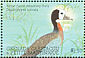 White-faced Whistling Duck Dendrocygna viduata  2001 Ducks and waterfowl of the Caribbean Sheet