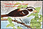 Rose-breasted Grosbeak Pheucticus ludovicianus  2003 Birds of the world 