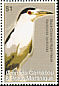Black-crowned Night Heron Nycticorax nycticorax  2007 Birds 