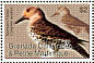 Northern Flicker Colaptes auratus  2007 Birds Sheet