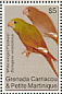 White-winged Parakeet Brotogeris versicolurus  2007 Birds  MS