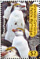 Royal Penguin Eudyptes schlegeli  2007 Penguins Sheet