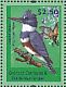 Belted Kingfisher Megaceryle alcyon  2011 Birds of the world Sheet