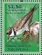 Semipalmated Plover Charadrius semipalmatus  2011 Birds of the world Sheet