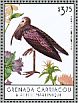 Scarlet Ibis Eudocimus ruber  2013 Birds of the Caribbean Sheet