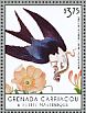 Swallow-tailed Kite Elanoides forficatus  2013 Birds of the Caribbean Sheet