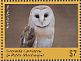 American Barn Owl Tyto furcata  2017 Barn Owl Sheet