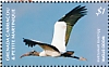 Wood Stork Mycteria americana  2019 Wood Stork Sheet
