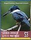 Ringed Kingfisher Megaceryle torquata  2019 Colorful birds Sheet