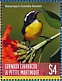 Bananaquit Coereba flaveola  2019 Colorful birds Sheet