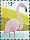 Greater Flamingo Phoenicopterus roseus  2021 Flamingos Sheet
