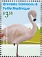 Chilean Flamingo Phoenicopterus chilensis  2021 Flamingos Sheet