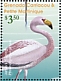 James's Flamingo Phoenicoparrus jamesi  2021 Flamingos Sheet
