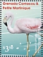 Andean Flamingo Phoenicoparrus andinus  2021 Flamingos Sheet
