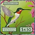 Ruby-throated Hummingbird Archilochus colubris  2021 Hummingbirds Sheet