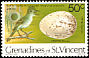 Grenada Flycatcher Myiarchus nugator  1978 Birds and their eggs 