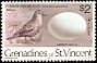 Common Ground Dove Columbina passerina  1978 Birds and their eggs 