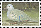 Common Ground Dove Columbina passerina  1990 Birds of the West Indies 
