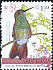 Berylline Hummingbird Saucerottia beryllina  2008 Birds of Guatemala 